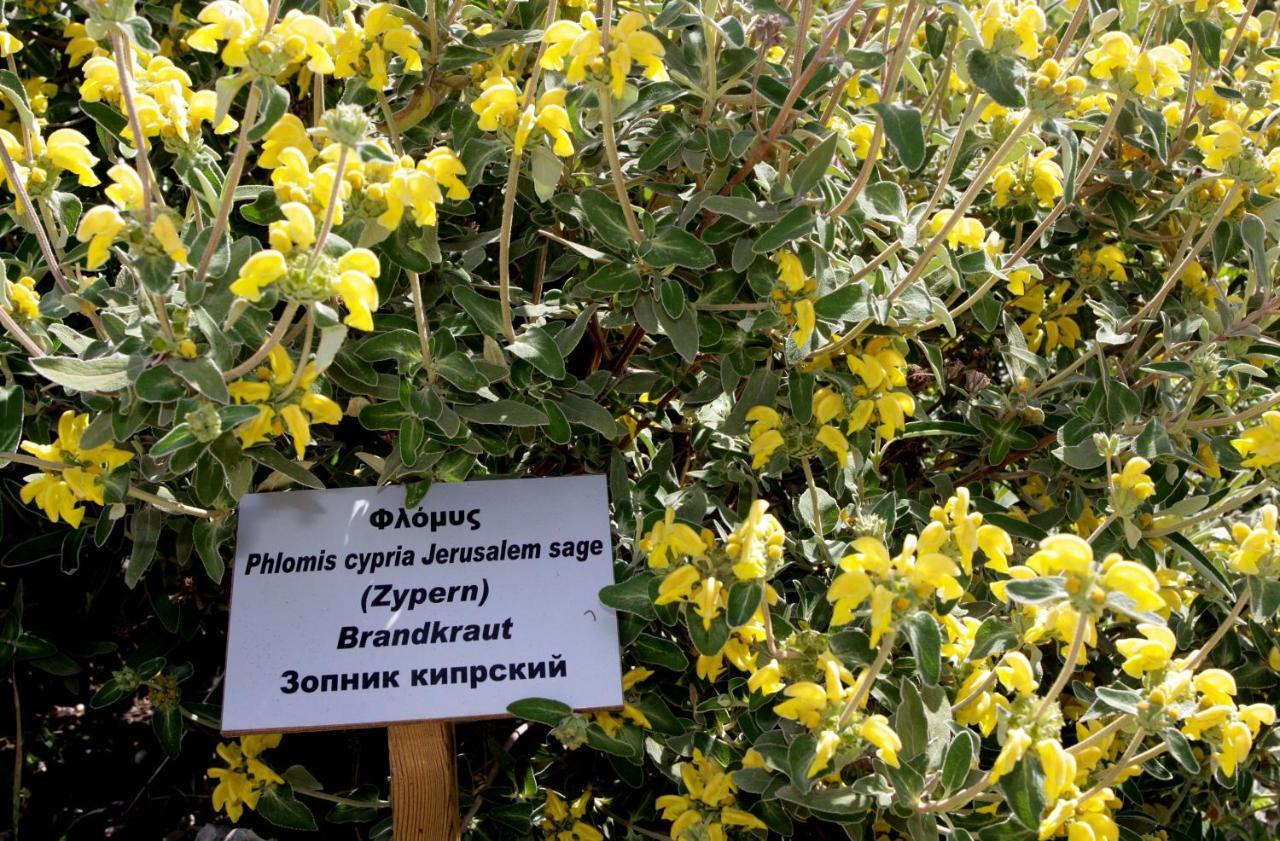 Polis Herb Garden Екстериор снимка
